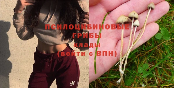 соль курить ск Верхний Тагил