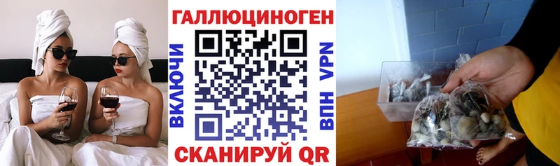 Псилоцибиновые грибы Psilocybe  купить наркотики цена  Новокубанск 