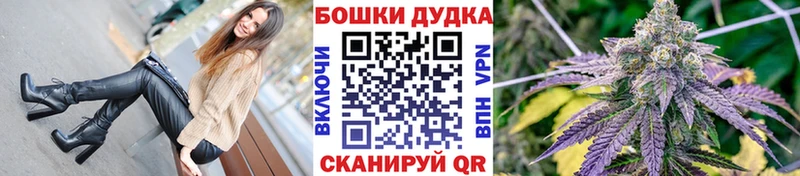 KRAKEN зеркало  Новокубанск  Бошки марихуана планчик  как найти закладки 